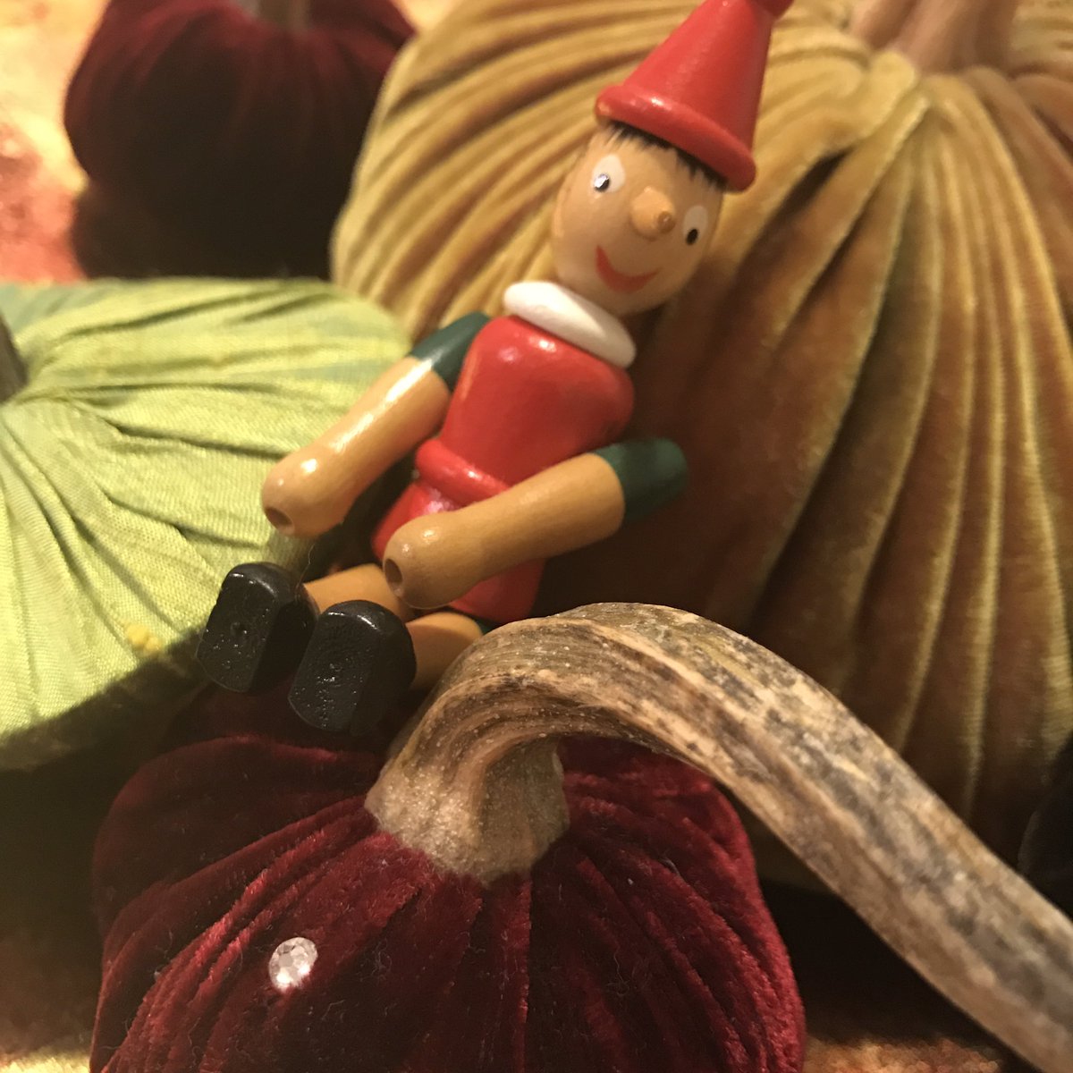 Kimberly_Author's tweet photo. Pinocchio says happy Thanksgiving from pumpkin patch. Evil twin, elf on the shelf is MIA. #TheRealPinocchio #happythanksgiving #elfonashelf https://t.co/eoGy3pYTks
