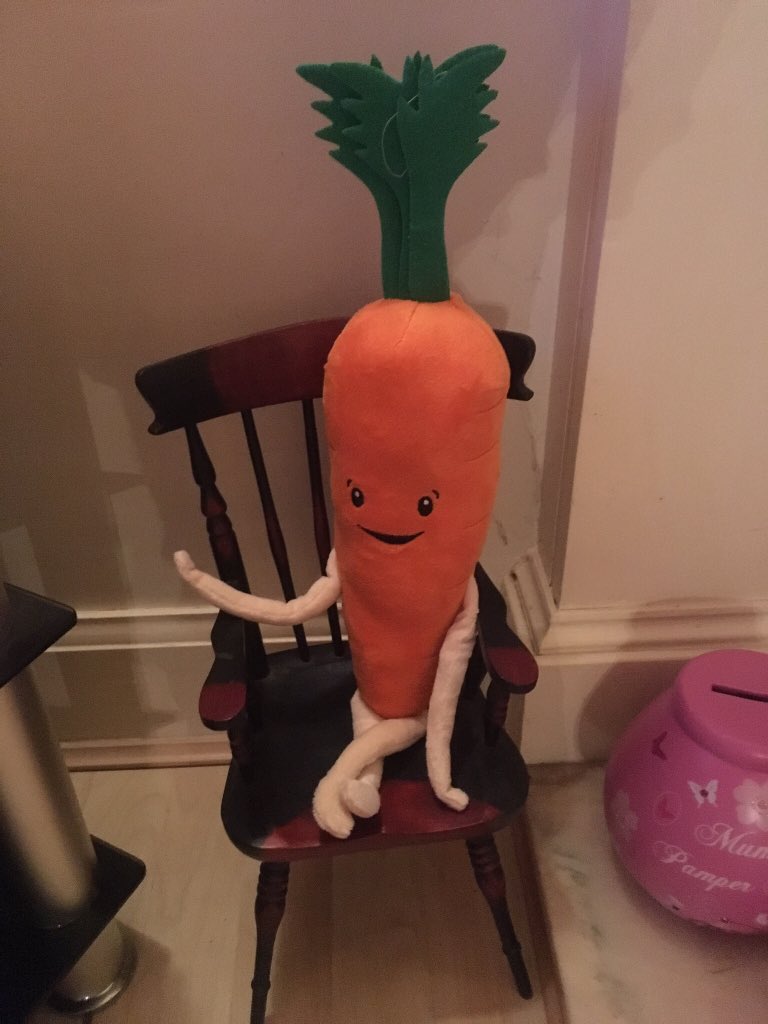 Edinlass's tweet photo. @AldiUK @barnardos #KevinThursday settled in well. https://t.co/u1z1Iw6poT
