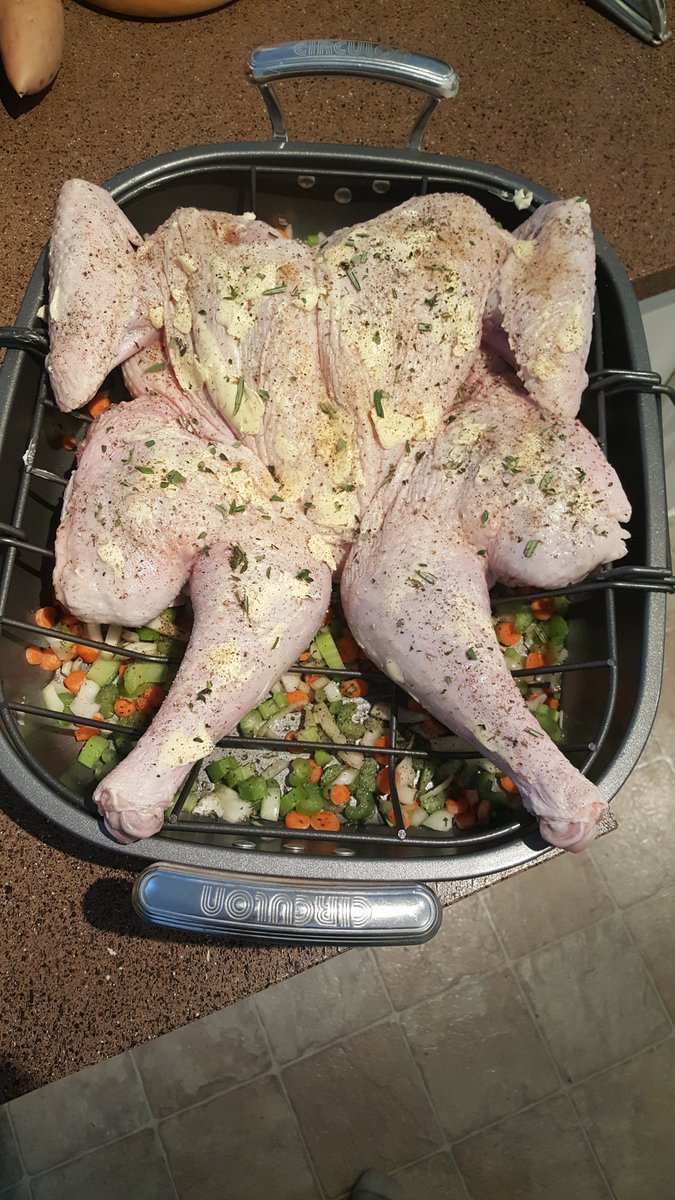 Chip_Notes's tweet photo. After dipping on the Chatfield Snow Bunting this morning, this appears to be the only bird I'll see today! Spatchcocked turkey - hope its OK https://t.co/FaQzzeZVEf