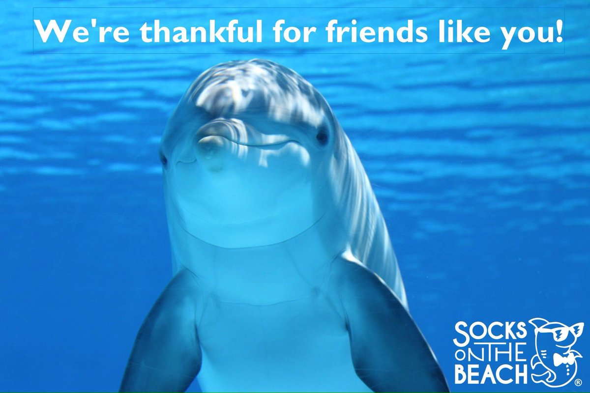 socksotbeach's tweet photo. Happy #Thanksgiving, turkeys!  Special #thanks to our supporters who've backed our #kickstarter Check us out!  https://t.co/300IJ0U24r https://t.co/IHEUb0d9NF