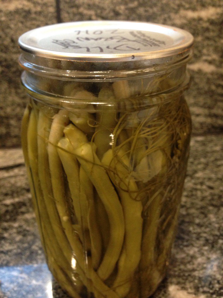 farmerwheat's tweet photo. 2016 Green Beans!
#Thanksgiving https://t.co/HCoBLumKFG