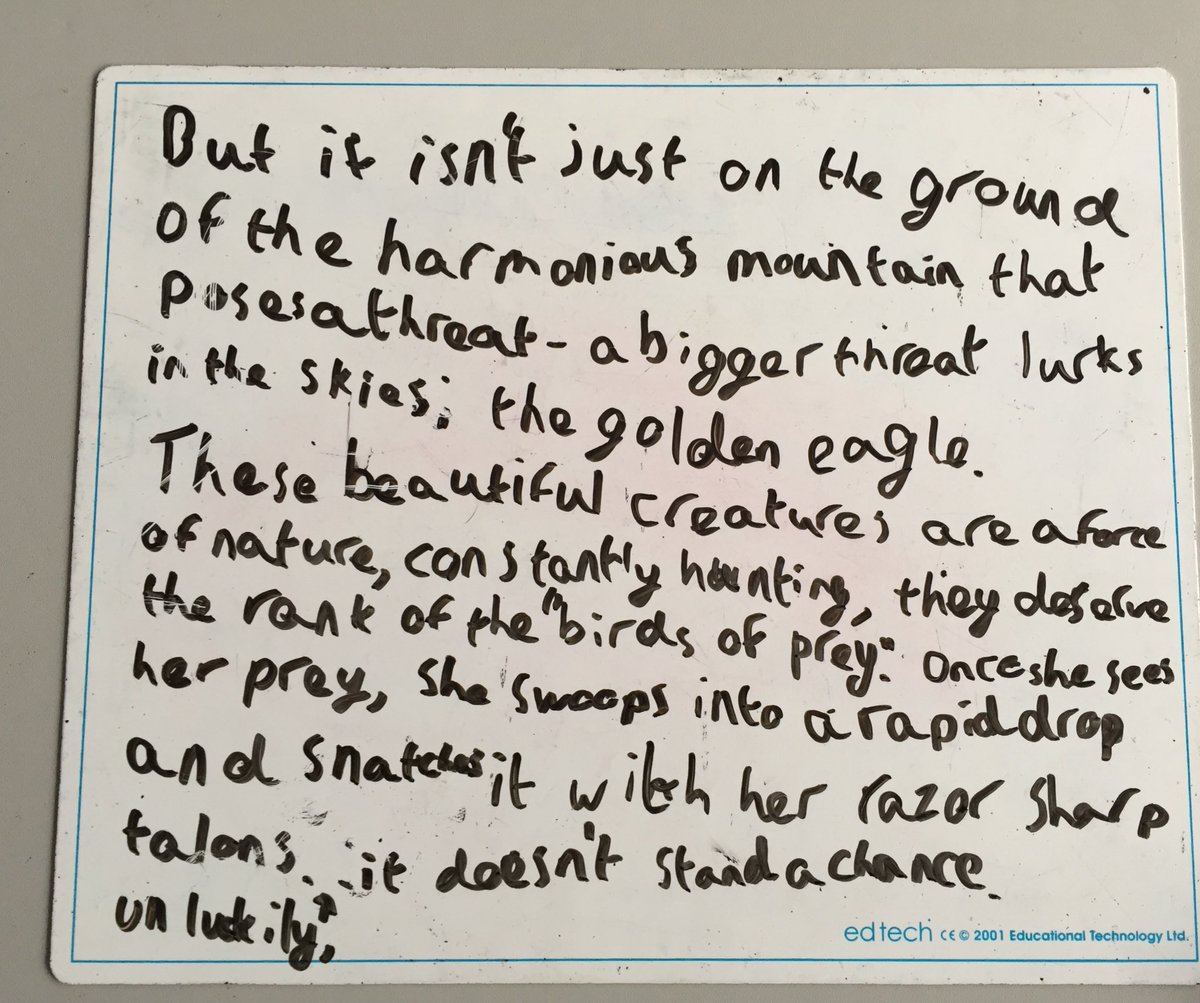 MissDooner's tweet image. David Attenborough or Tayger in year 11? 🤔🐯🕊🐊 @AldersleyHighSc