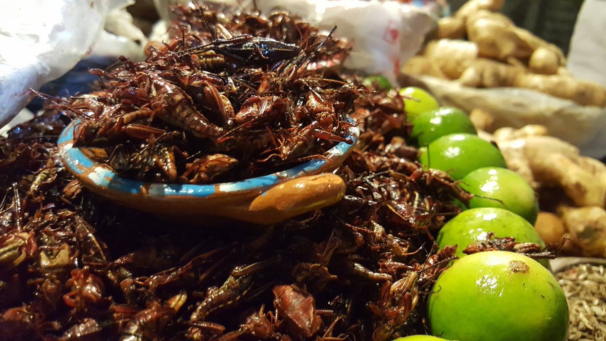 CONADICUMEX's tweet photo. Los colores y sabores del mercado de La Merced. La comida también es cultura. https://t.co/2QtaeRgtMG