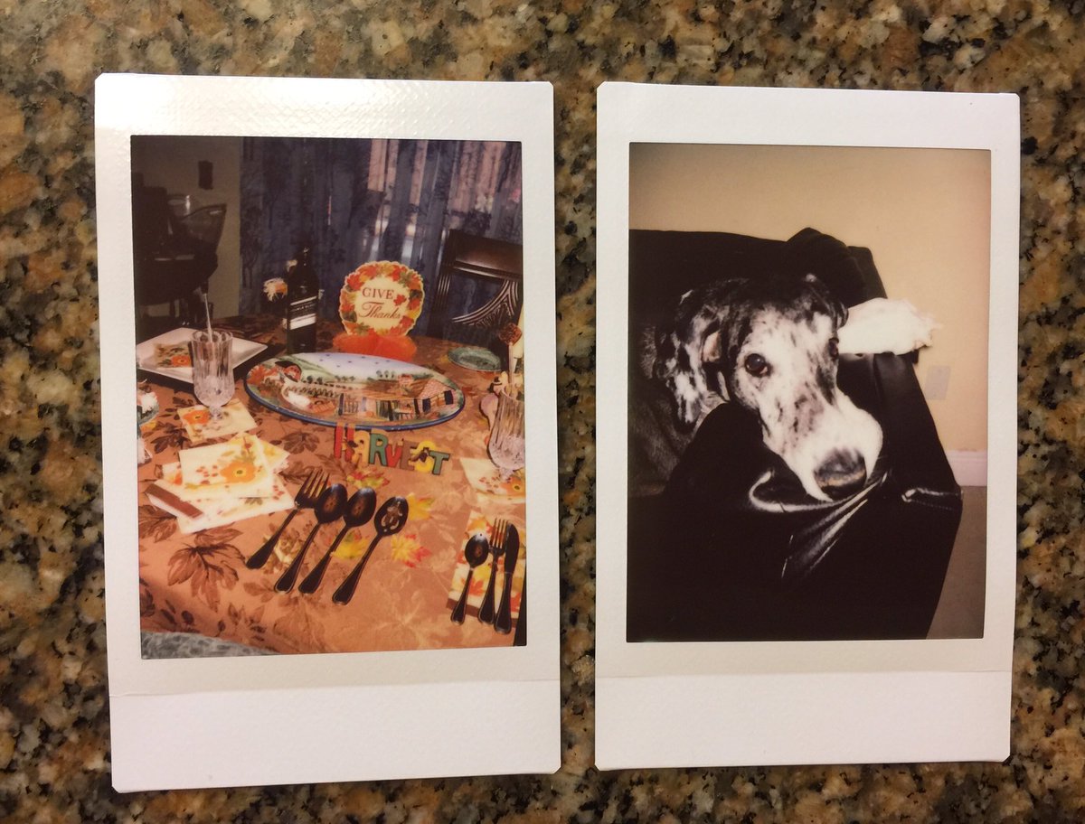 pattyalongo's tweet photo. Happy Thanksgiving!!! https://t.co/Vu3FOvJh8V