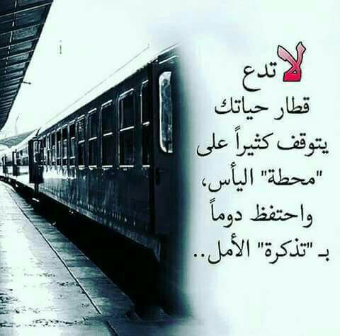 abo omar (@sayedabohetta) on Twitter photo 