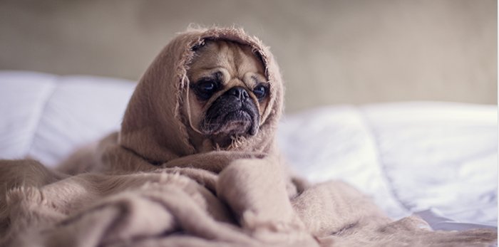 Wellingtonnz's tweet photo. Feeling stressed @ work post-earthquake? Join us @ @BizDojo, 29 Nov to chat about practical tools to help. Register: https://t.co/B0FRUFZIWM https://t.co/SukMuk9LLa