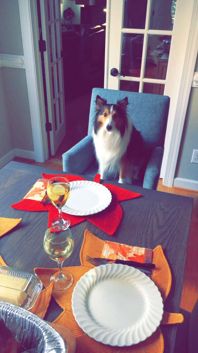 connorswain98's tweet photo. Happy Thanksgiving! https://t.co/UrDxlAgGbT