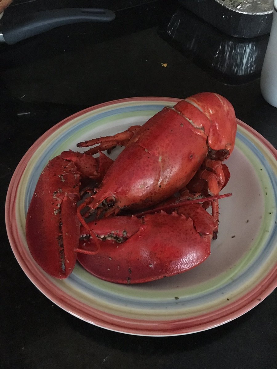 AndrewHalawa's tweet photo. Homie had a rough night ... https://t.co/dm7RMruJwy