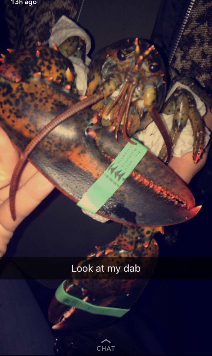 AndrewHalawa's tweet photo. Homie had a rough night ... https://t.co/dm7RMruJwy