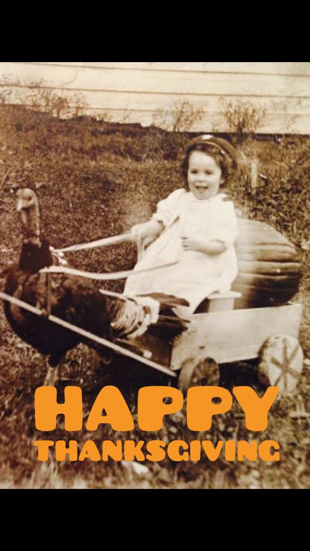 DunelandDisc's tweet image. Hope everyone's day is wonderful and safe #GobbleTilYouWobble