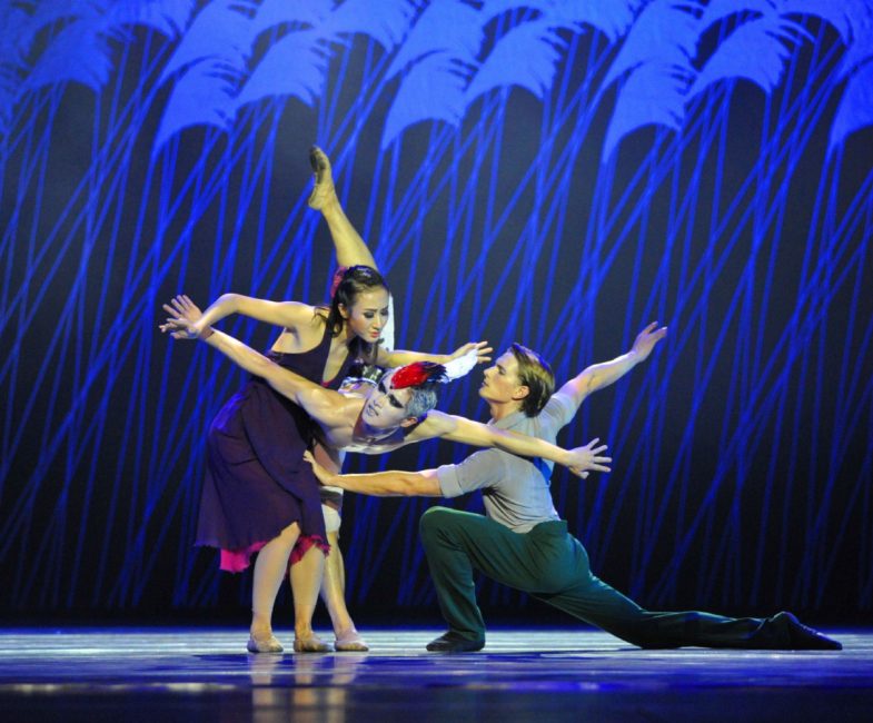 Red-Crowned Crane a #ballet bird of a different feather ow.ly/DMcs306sH5s#
