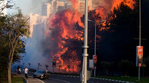 NoyPerel's tweet photo. Terrorists are burning down my country &amp; wheres the news coverage? Dozens of deadly arson attacks have occurred here today! #IsraelisBurning https://t.co/RH7tR8zVj7
