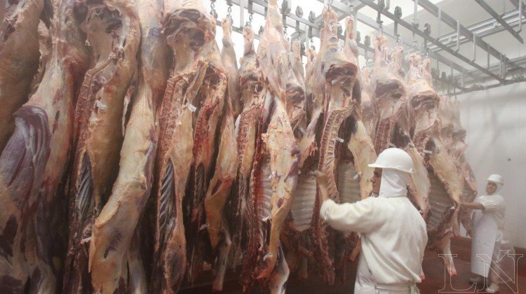 Misión técnica buscará habilitar Hong Kong para la carne local elagro.com.py/mercados/misio…