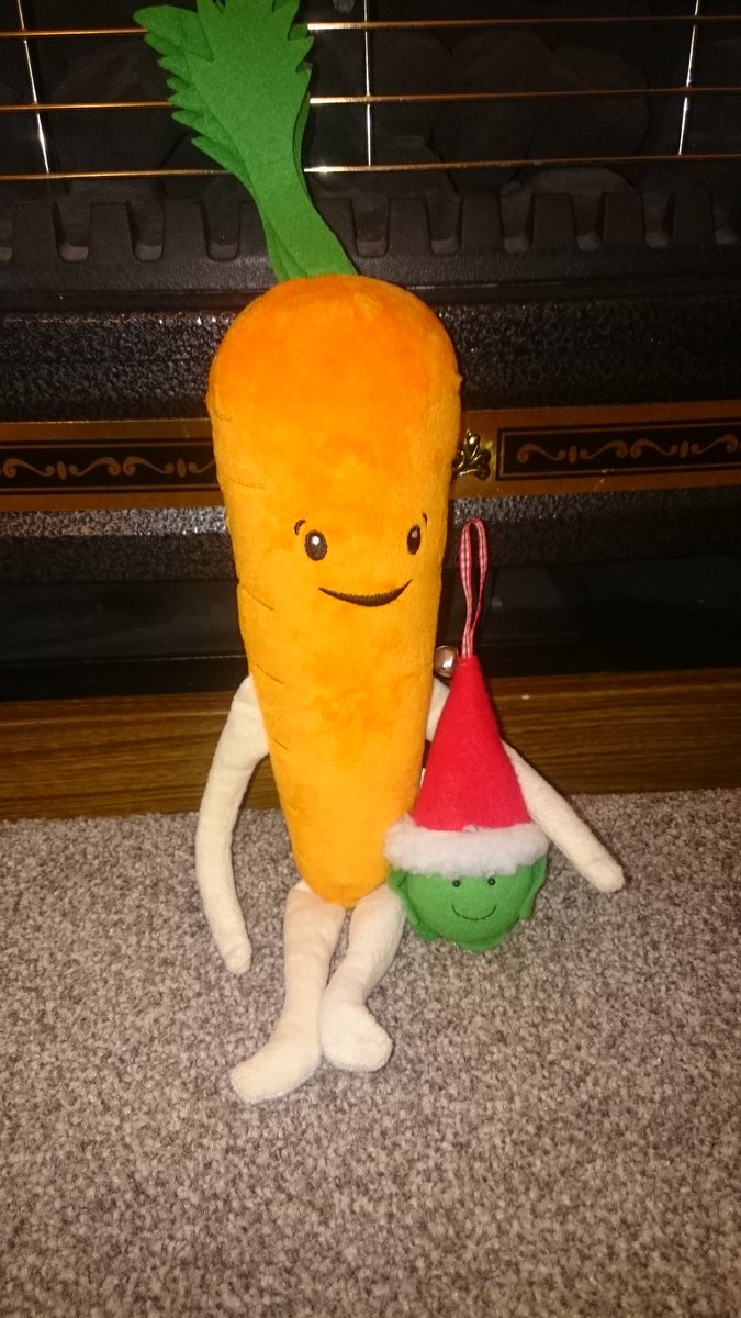 nicola_balshaw's tweet photo. #kevinthecarrot meets his new friend #KevinThursday #Barnardos #Christmas https://t.co/6lr817D7T8