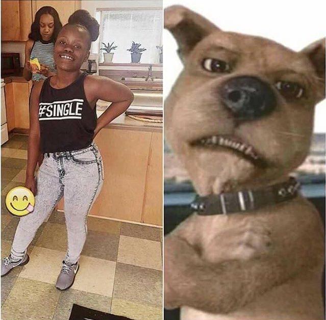 WORLDSTAR's tweet photo. Whoever made this needs their phone taken away. https://t.co/lzbWJMox85