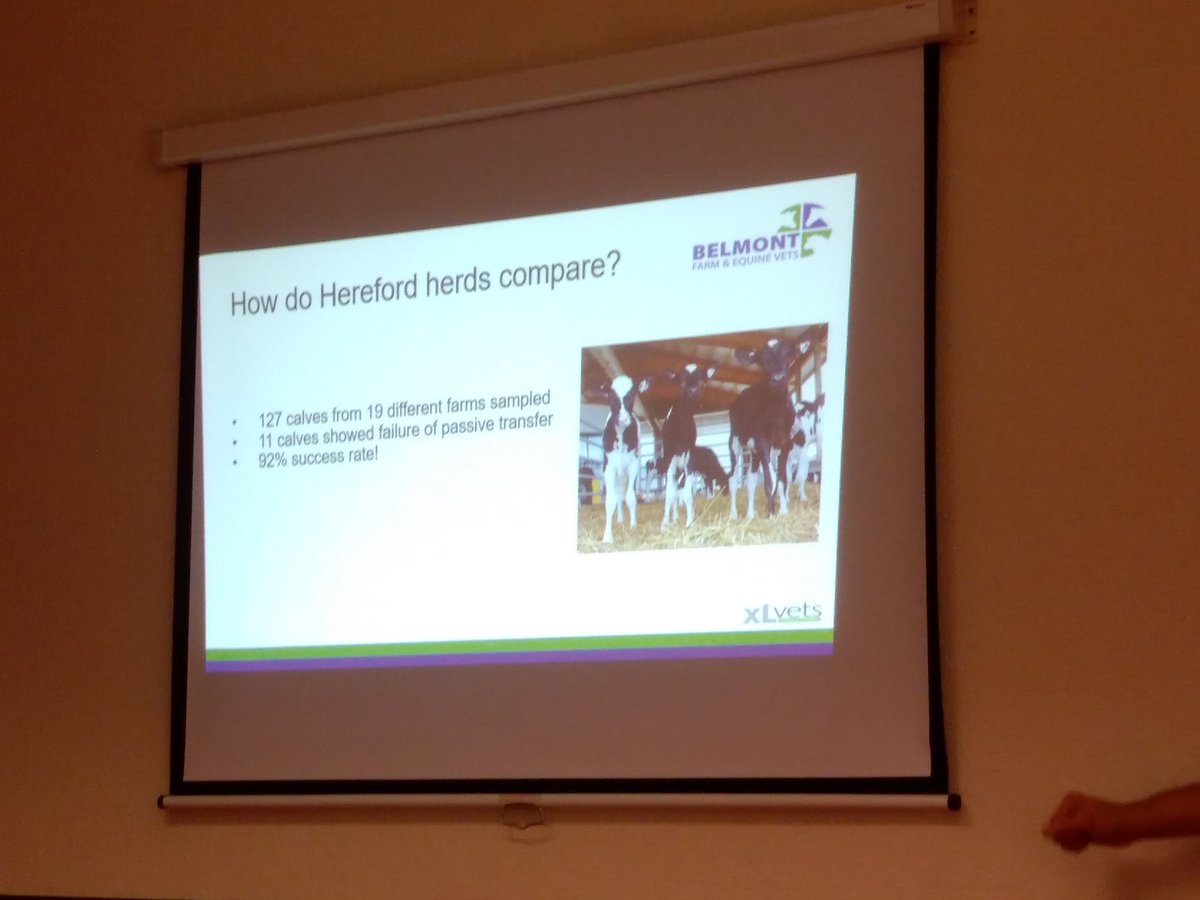 belmontfarmvets's tweet photo. Huge congratulations for our farmers, 92% success of passive transfer. Something to be really proud of https://t.co/fNFQWEjKeT