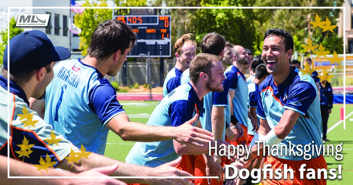 SanFrancisco Dogfish tweet media