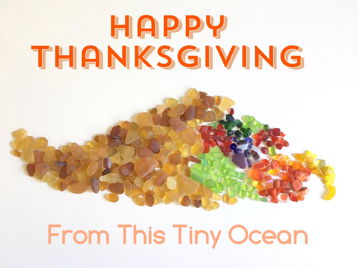 thistinyocean's tweet photo. Happy Tofurkey Day! #vegetarianthanksgiving https://t.co/X1InYExo10