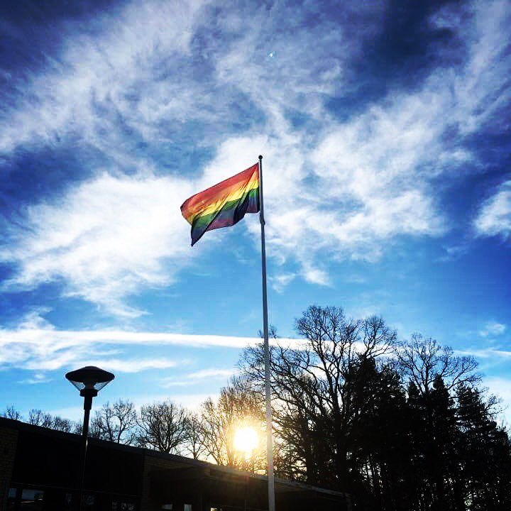 NielsenLundin's tweet image. #alléskolan #hbtqvecka #jagfårvarasomjagär #tillsammans #skolbibliotek #attgöraskillnad