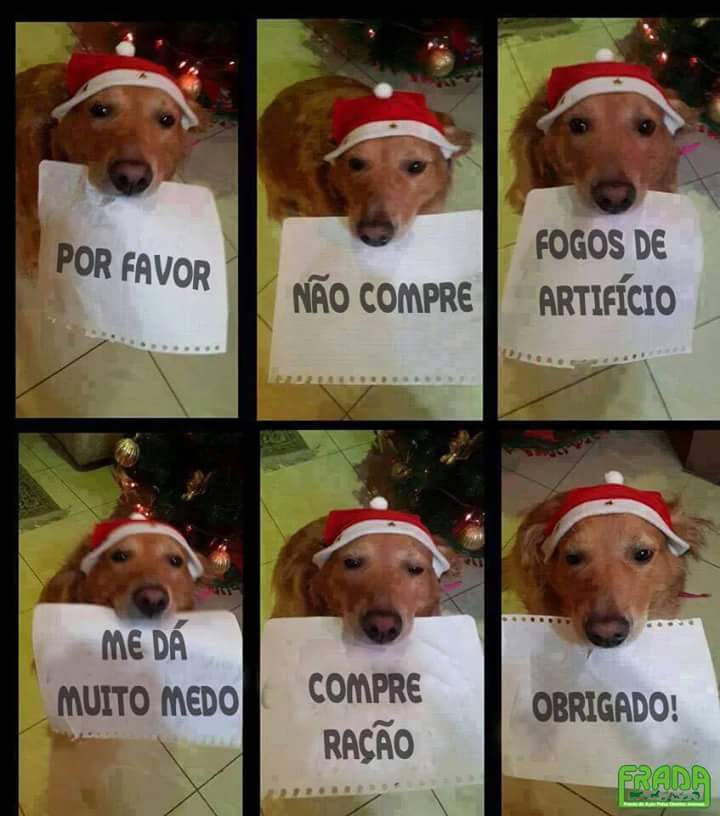 francisco soares (@soares136soares) on Twitter photo 