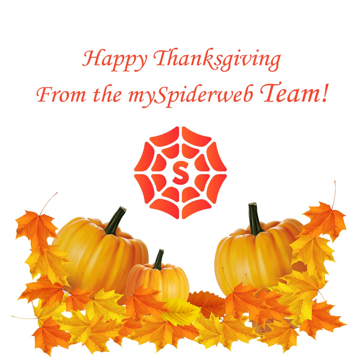 Happy Thanksgiving from the mySpiderweb Team!