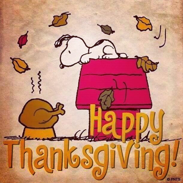 debi hagardt (@debihagardt) on Twitter photo 