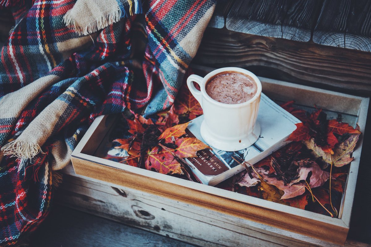 happy thanksgiving from the grrid! stay cozy today, and always stay curious. 🍁#homeawayfromhome #travel