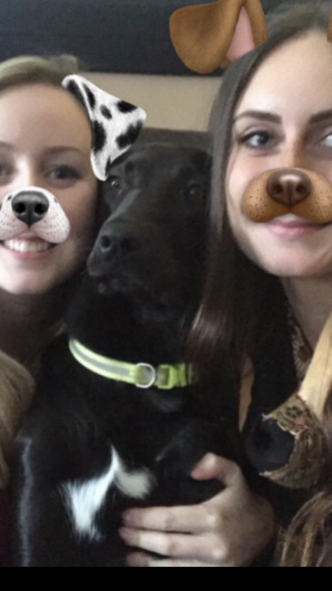 ashleemacdonald's tweet photo. When yo friends trying to be something they ain't @rebeccaakennedy https://t.co/sawuUMzW6N