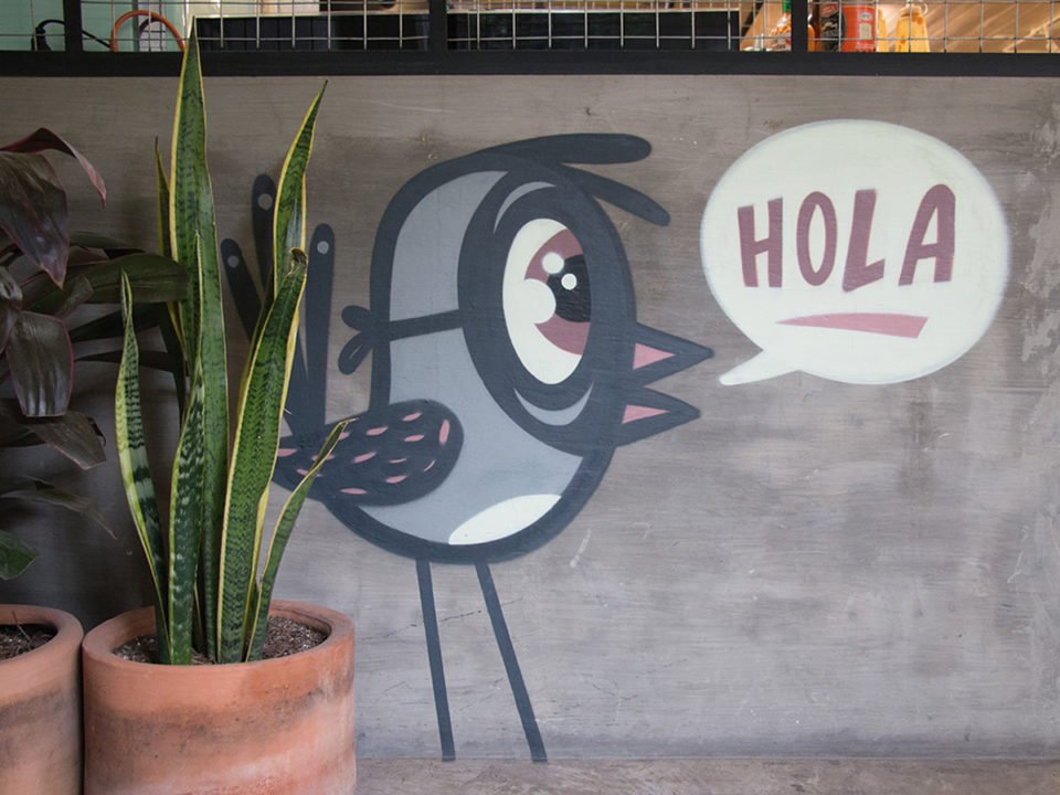 coolhuntermx tweet media