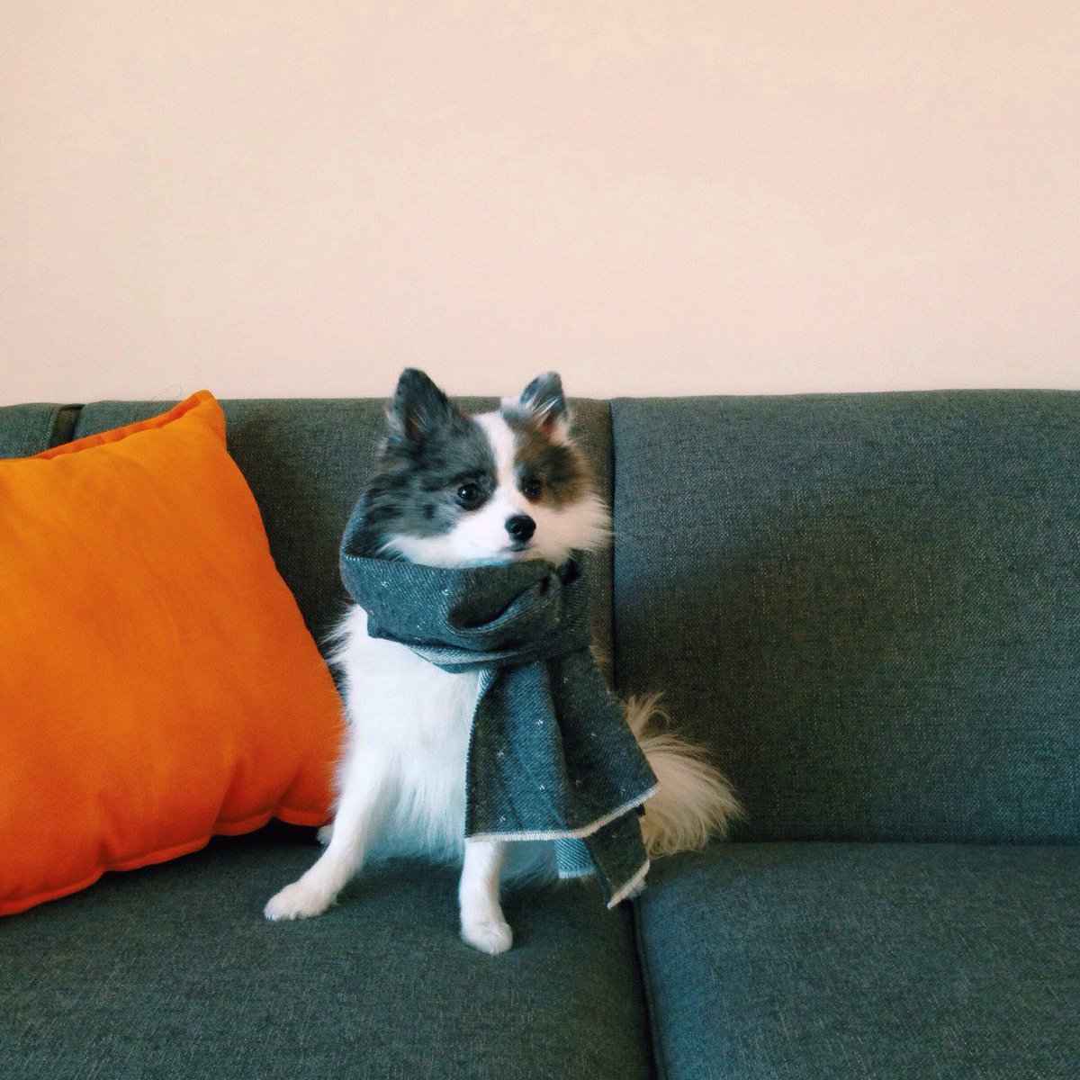 Happy #Thanksgiving! Learn how to make your home cozy for the holidays here: bit.ly/2gexV8M