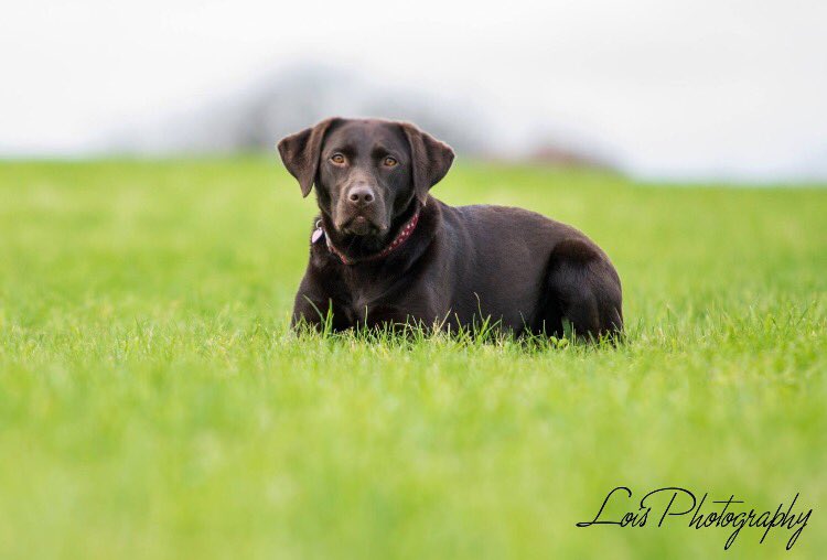 Lois Photography AP tweet media