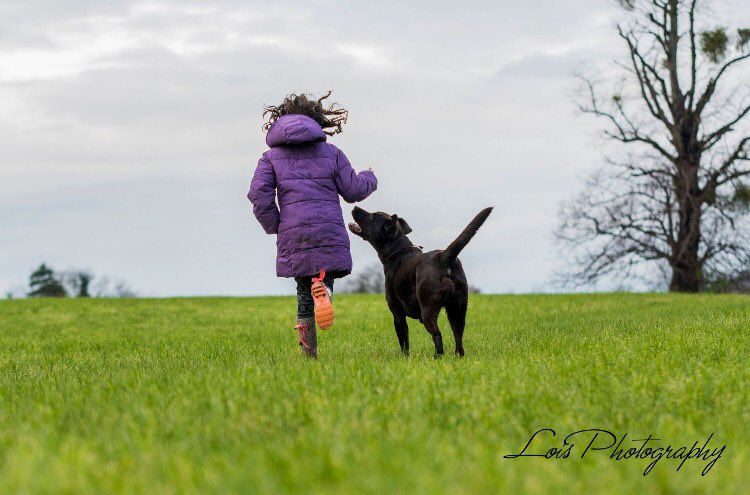 Lois Photography AP tweet media