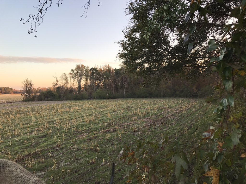 SCInjuryAtty's tweet image. First time this fall. #huntsc