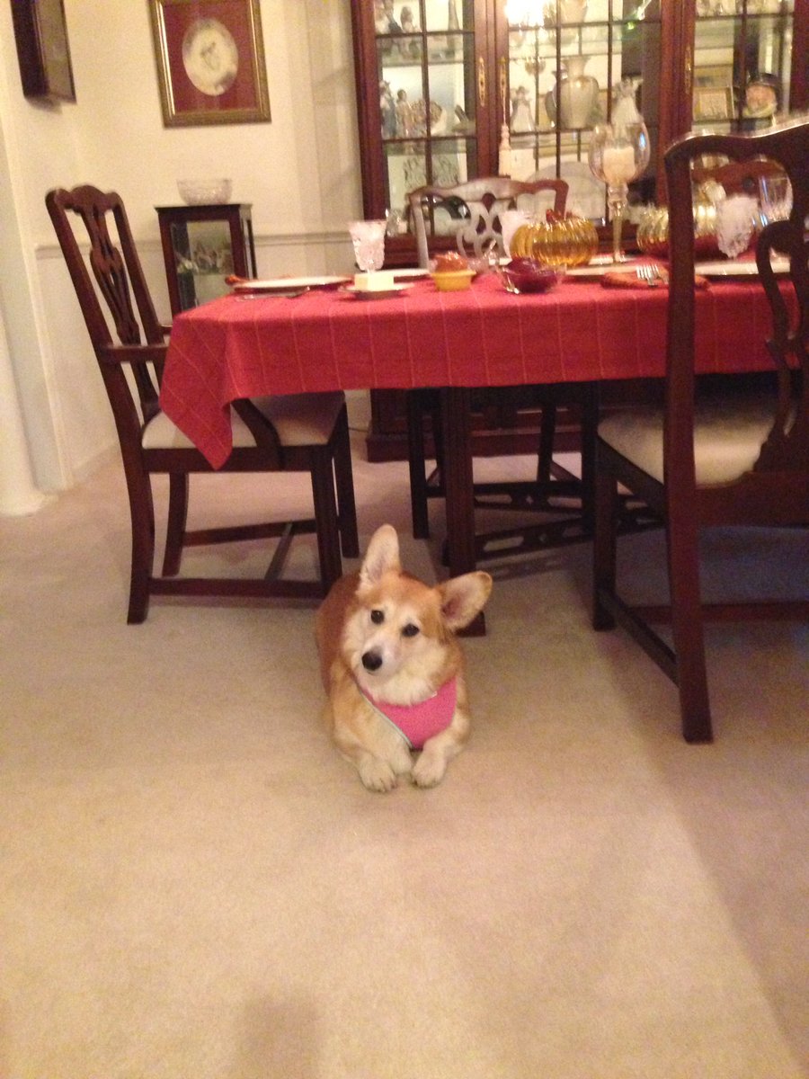 BethBethquack's tweet photo. Table is set.... is it turkey time yet?? #thanksgiving #turkeytime #feedme #hungry https://t.co/DPH1SV4Xsy