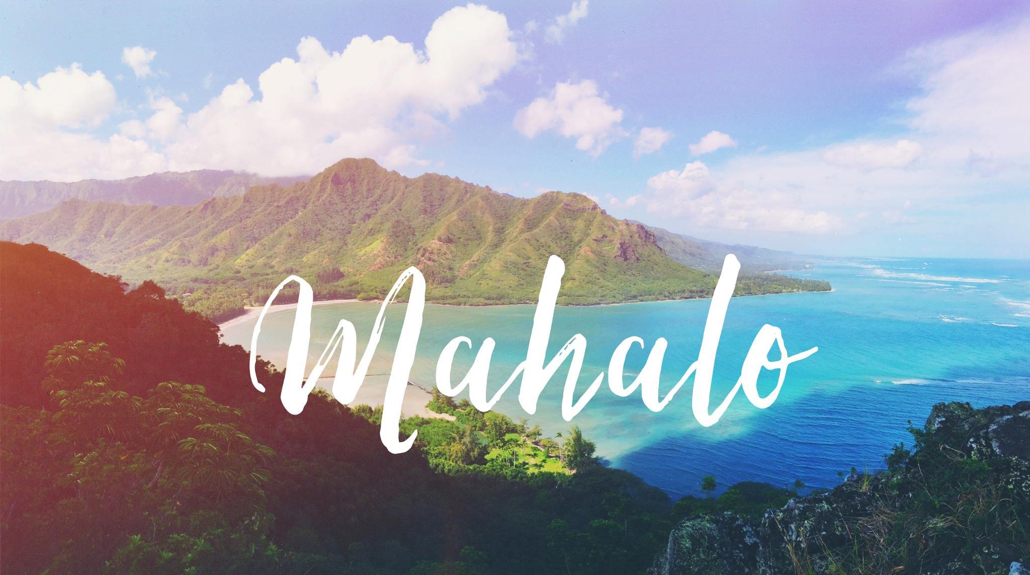 Hawaiian Airlines على X: &ldquo;Happy #Thanksgiving! Say thank you to 