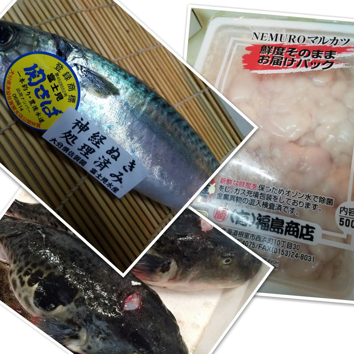 翁楼 على تويتر おすすめ 関さば 鱈白子 ふぐ シマアジ 仙鳳趾かき 大和八木 居酒屋 翁楼 個室あり