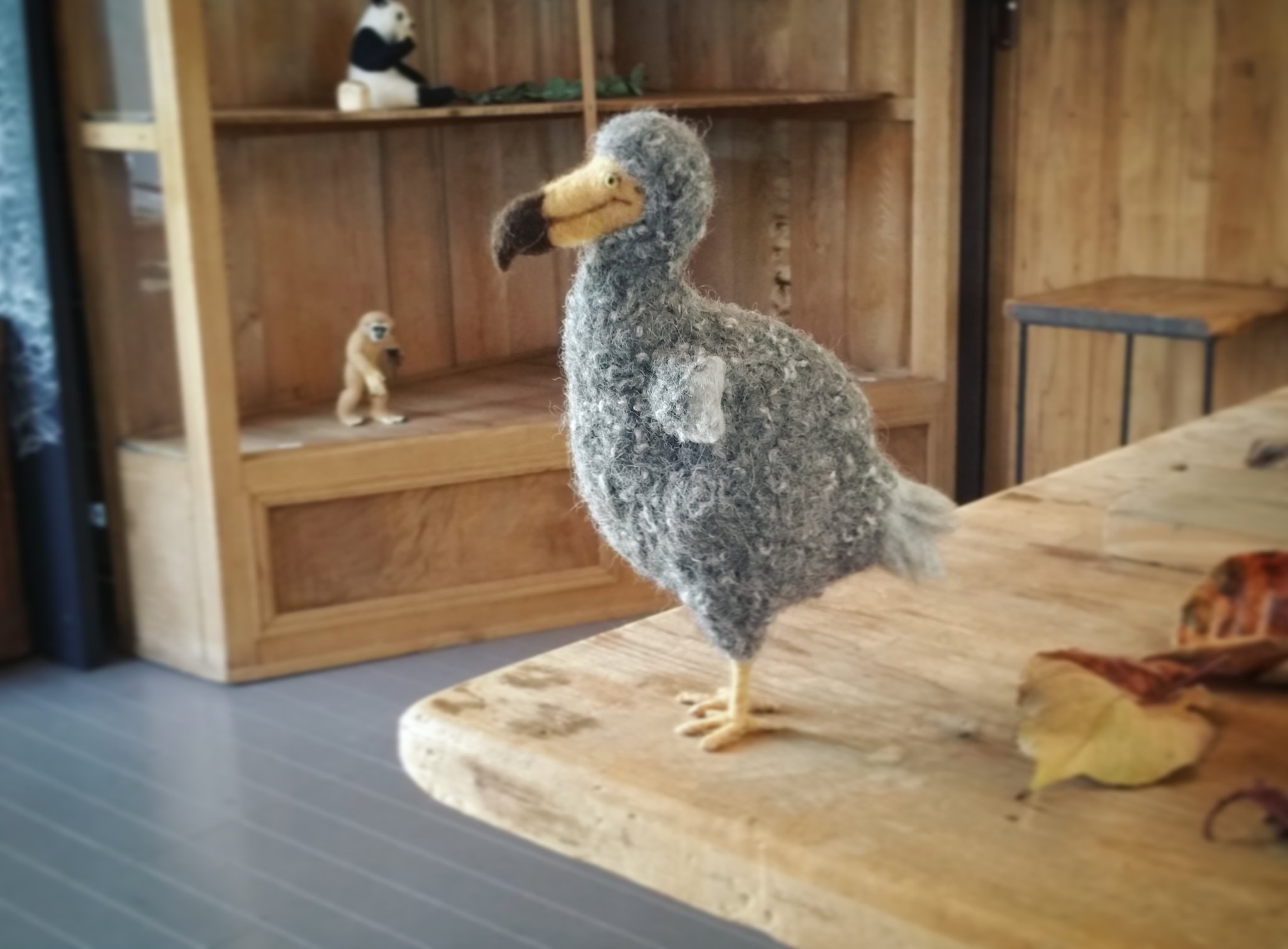 Yoshinobu Twitterissa 新作 ドードー 不思議の国のアリスにも出てくる絶滅した鳥 ぷっくり ちょっとどんくさい姿を羊毛フェルトで立体化しました 個展会場の３日目開催しています ぜひいらしてください T Co Oazhebp3vv Yoshinobu 羊毛フェルト