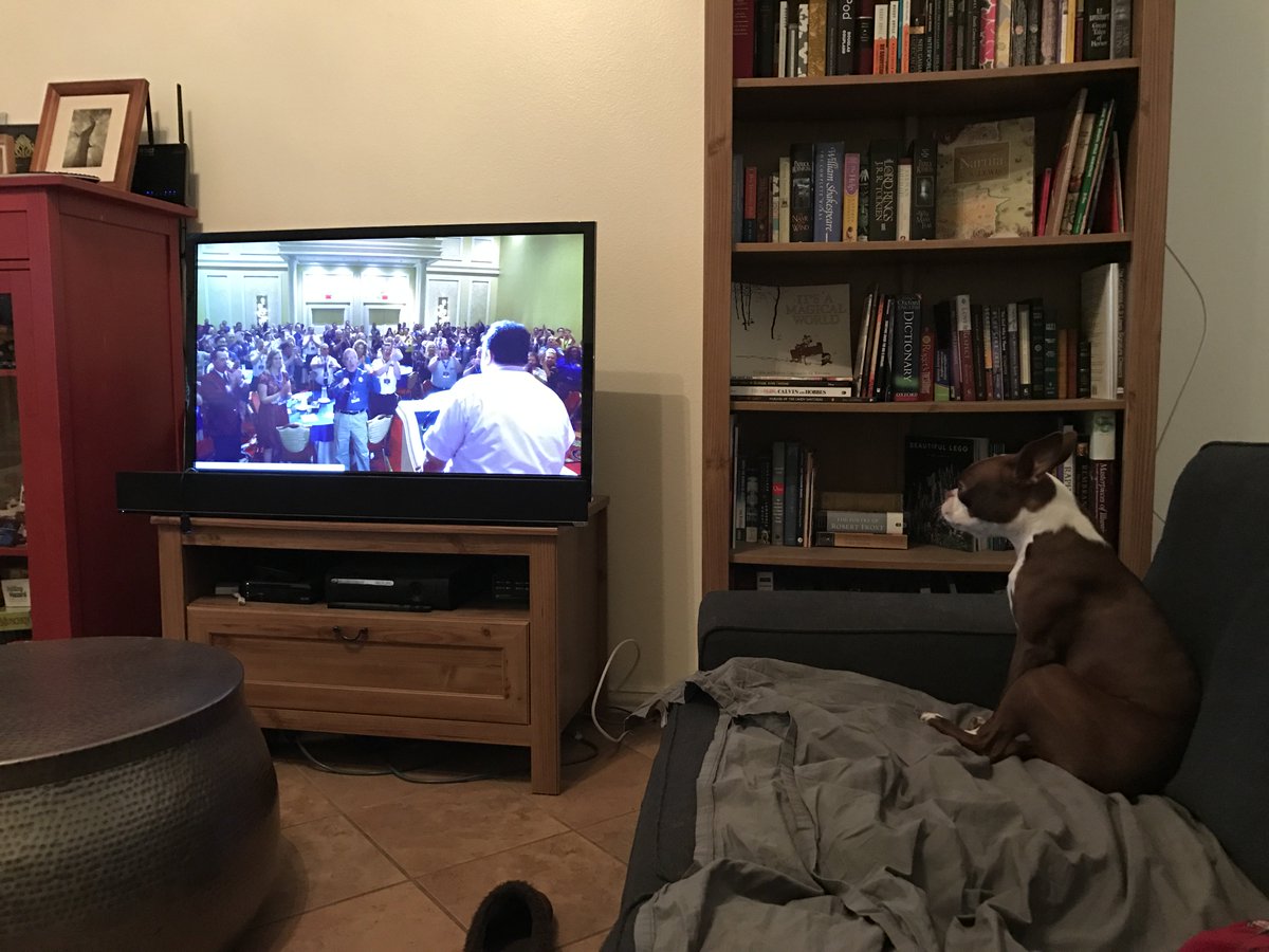 VincentLonga's tweet photo. Watching Paul Blart Mallcop 2 because of #DeathBlart podcast, an annual podcast from #WorstIdeaOfAllTime & #MBMBAM Check it out! https://t.co/YXyqADS1wX