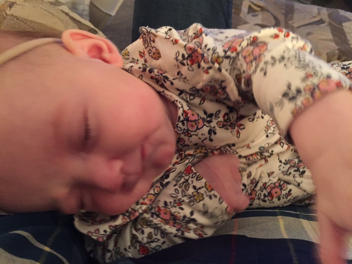 twmiller5's tweet photo. Some people just aren't cut out for life on the road ... #TurkeyVibes #Thanksgiving https://t.co/u4zpLutQTM