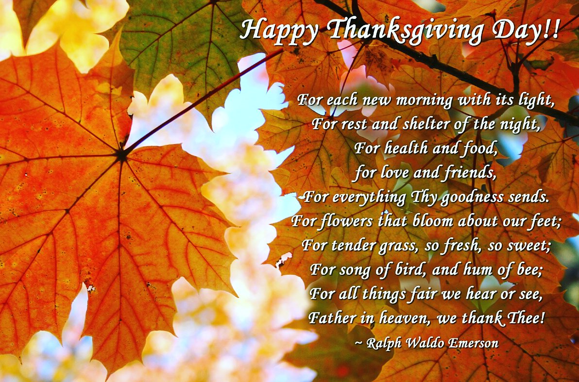 PlanPerfectly's tweet photo. Happy Thanksgiving! #happythankgiving #turkeyday #family #weddingplanner #planperfectly #fall #autumn #family https://t.co/EsawSyehB7