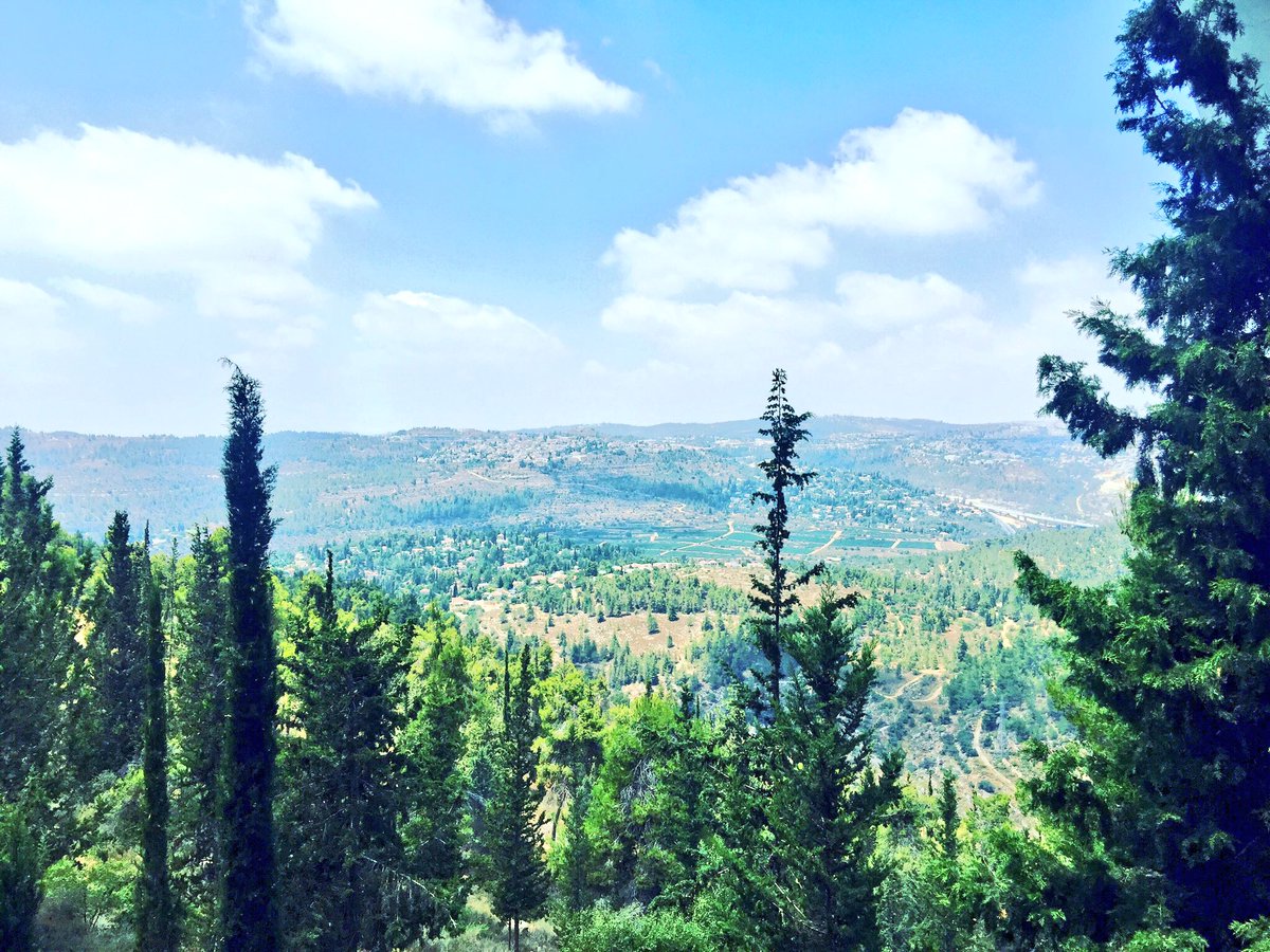 RitaPanahi's tweet photo. Israelis have planted millions of tree to green a barren landscape. Resilient people. Amazing country. 
#israelisburning #Israelfires https://t.co/2Bho874Duo