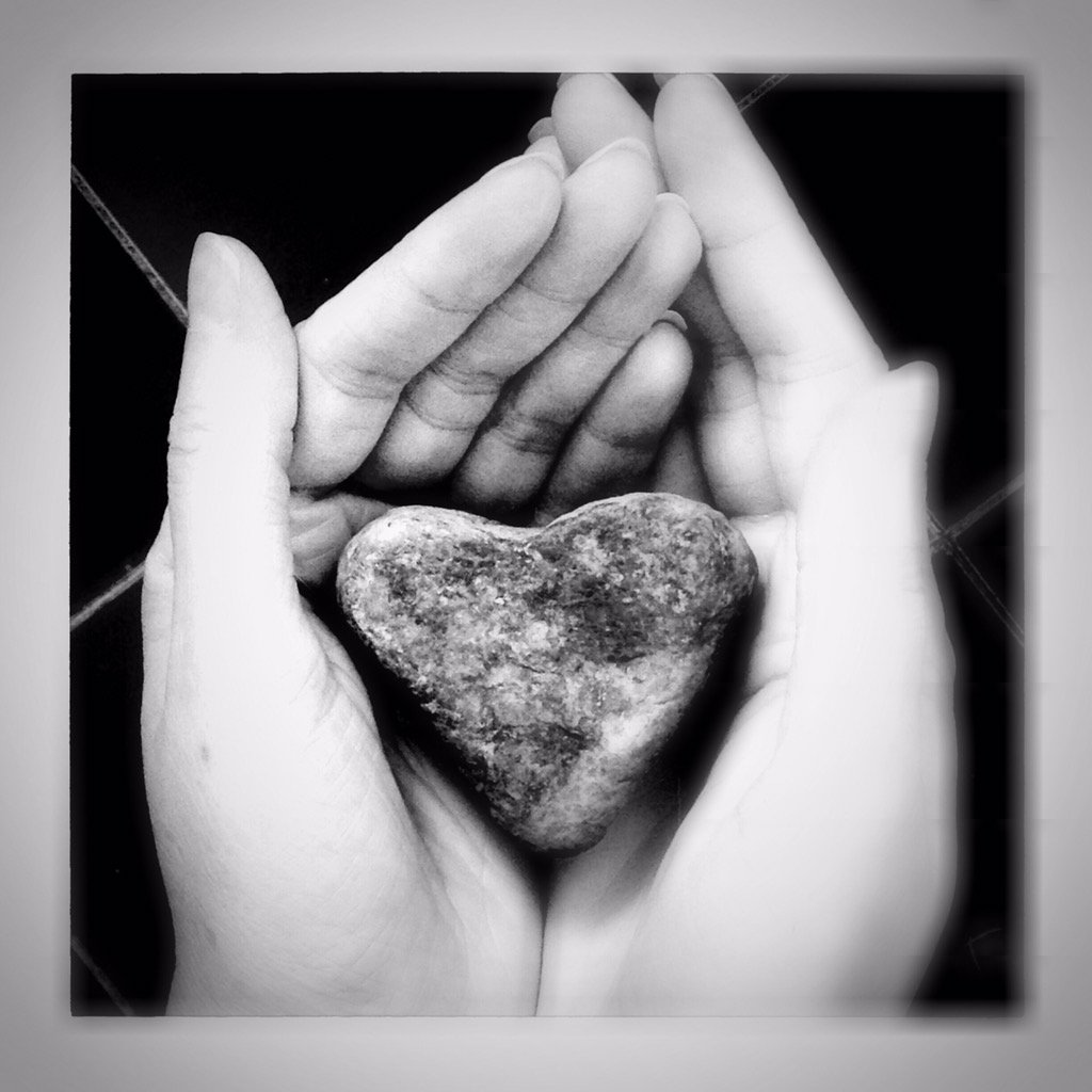 MissMeowski's tweet photo. There is much to be #Thankful for! 🙏🏻#HappyThanksgiving #ThursdayThoughts https://t.co/FZX8ubzXCH