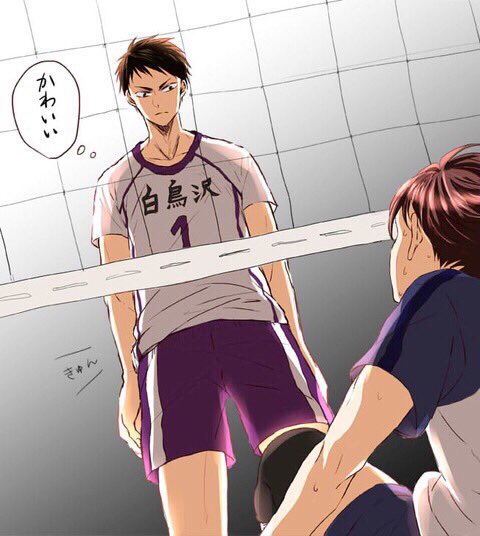 Tap Tap 腐女子休憩所 ハイキュー Blイラスト 腐向け画像 牛及 牛島若利 及川徹 T Co 95rqvf0l Twitter