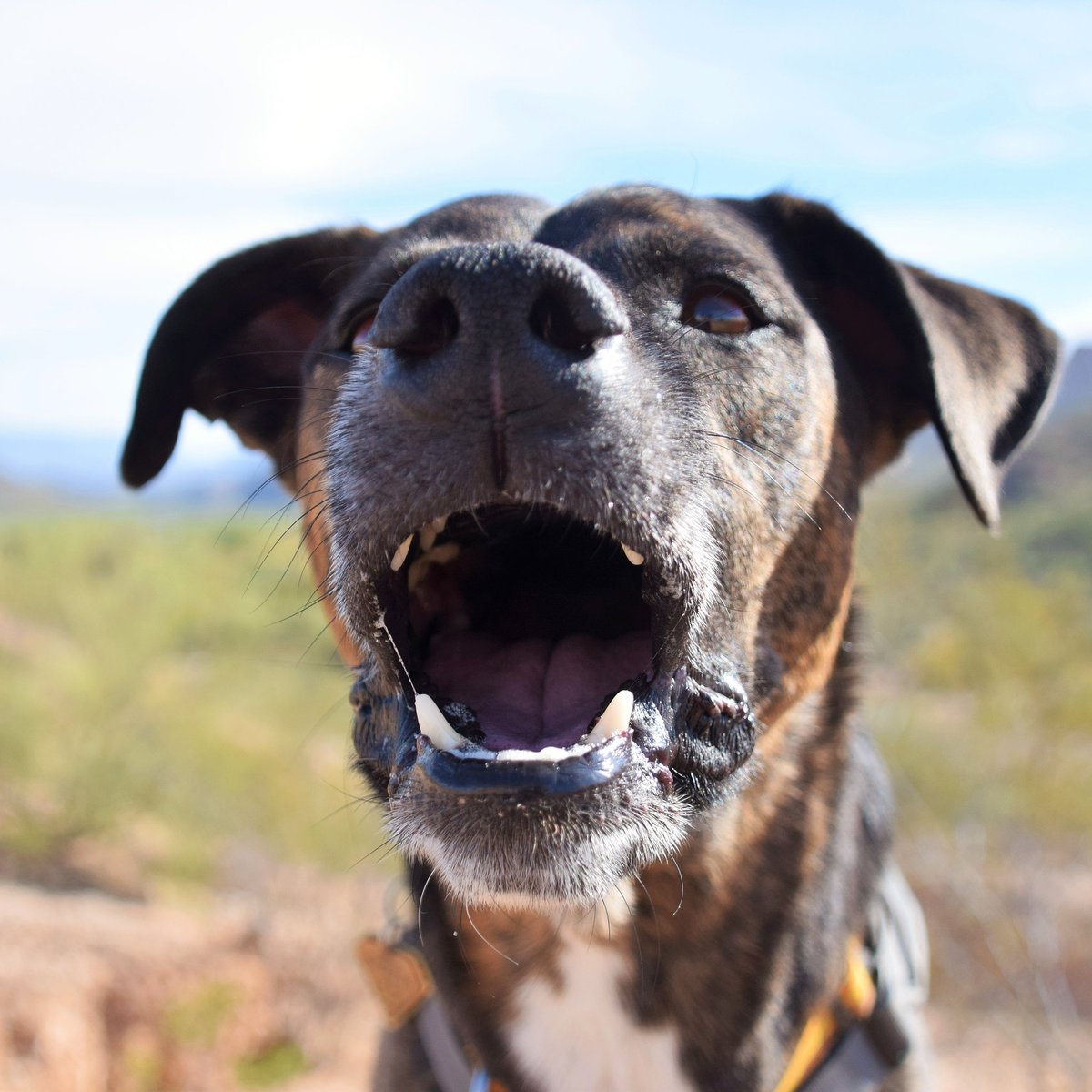 Katie Mogowski tweet media