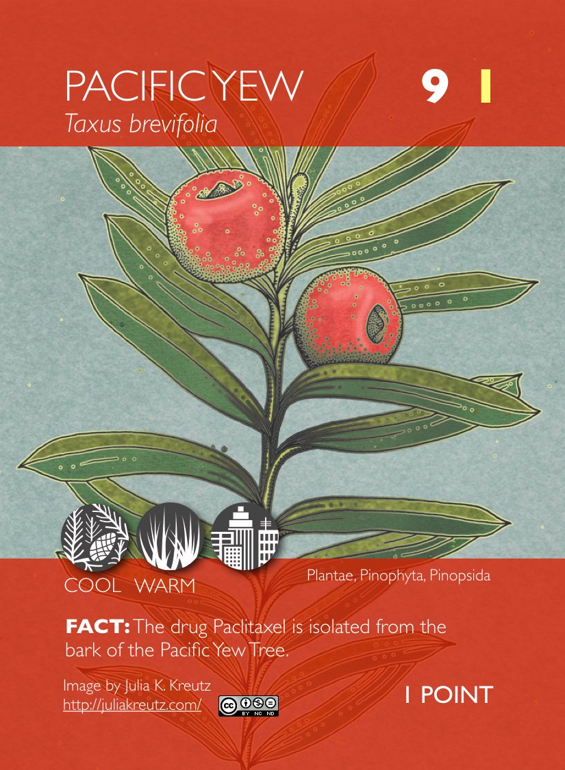 phylomon's tweet photo. The very cool phytochemical PHYLO expansion deck is now available for purchase! Thanks to @wsmcneil &amp; @kreutz_julia https://t.co/di43hFxFeD https://t.co/akS20YUpNx
