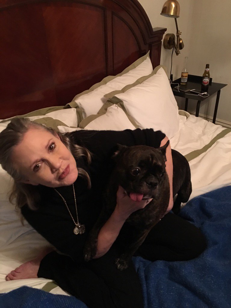 Carrie Fisher (@carrieffisher) on Twitter photo 