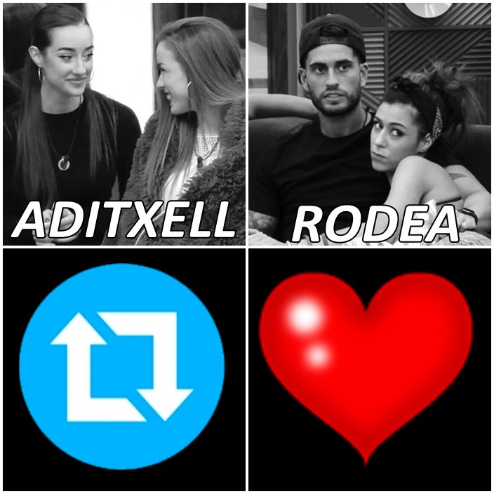 _seguidoresgh_'s tweet photo. Y TU QUE MOVIMIENTO TWITTERO PREFIERES?? ADITXELL O RODEA?? #GALA12GH17 https://t.co/94HCLLtr7k