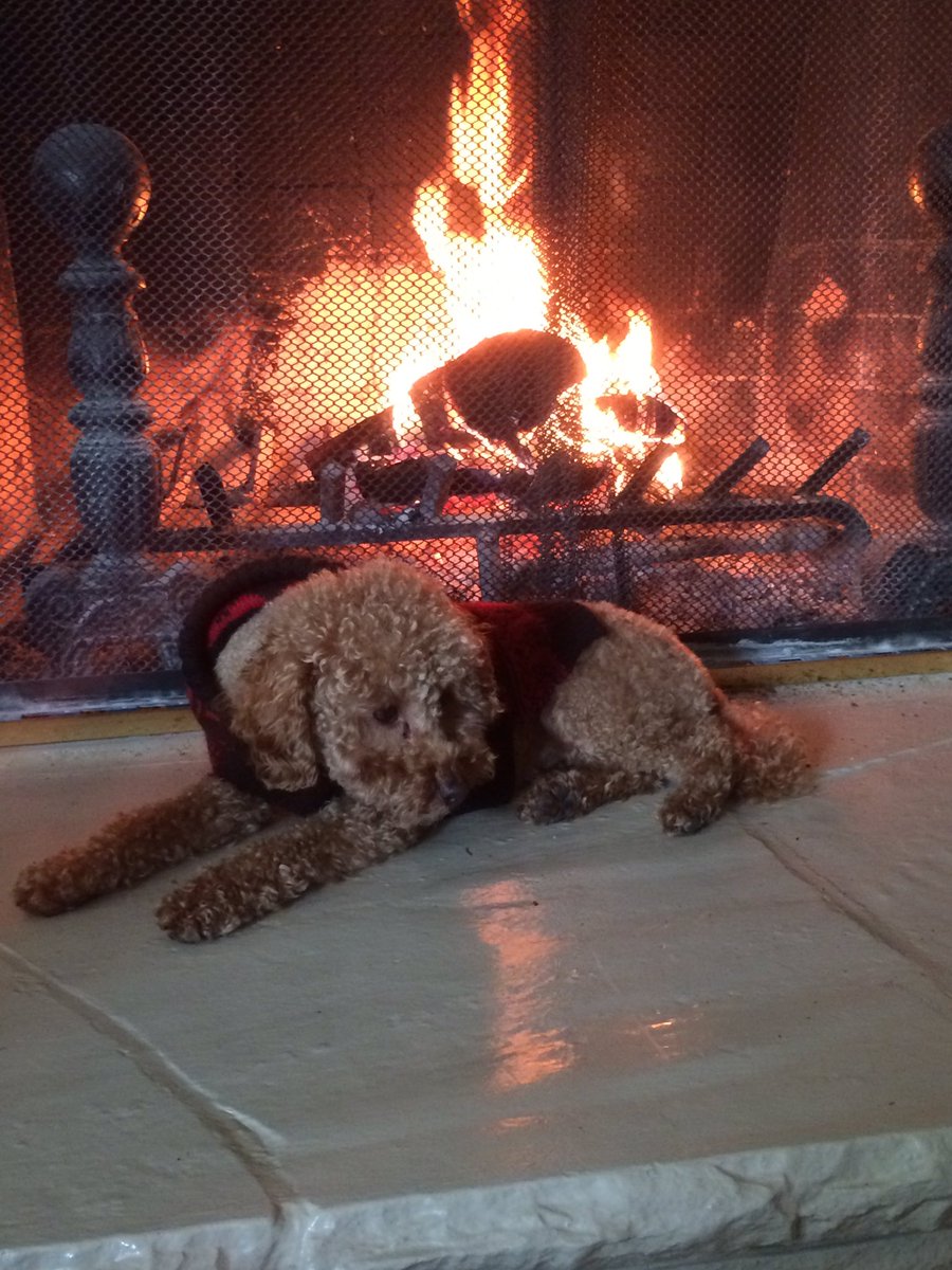 DurkisYumbo's tweet photo. Fireside chat w/ @TDtimbo https://t.co/gjccrRaZNw