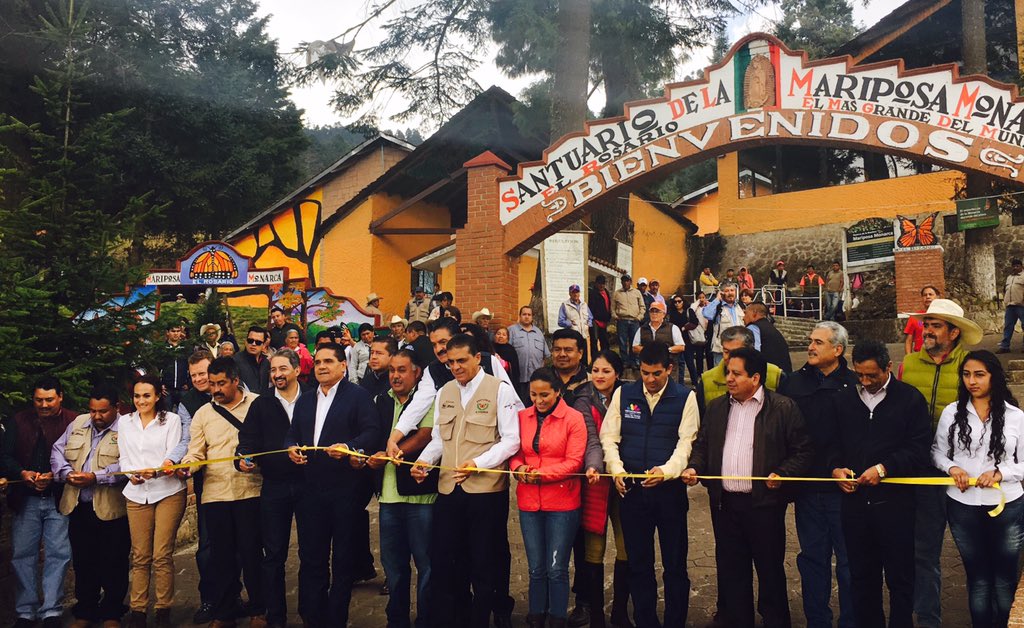 juansernaglez's tweet photo. Apertura del #SantuarioMariposaMonarca #RegionOriente 2016-2017 https://t.co/M6BBUQeg41