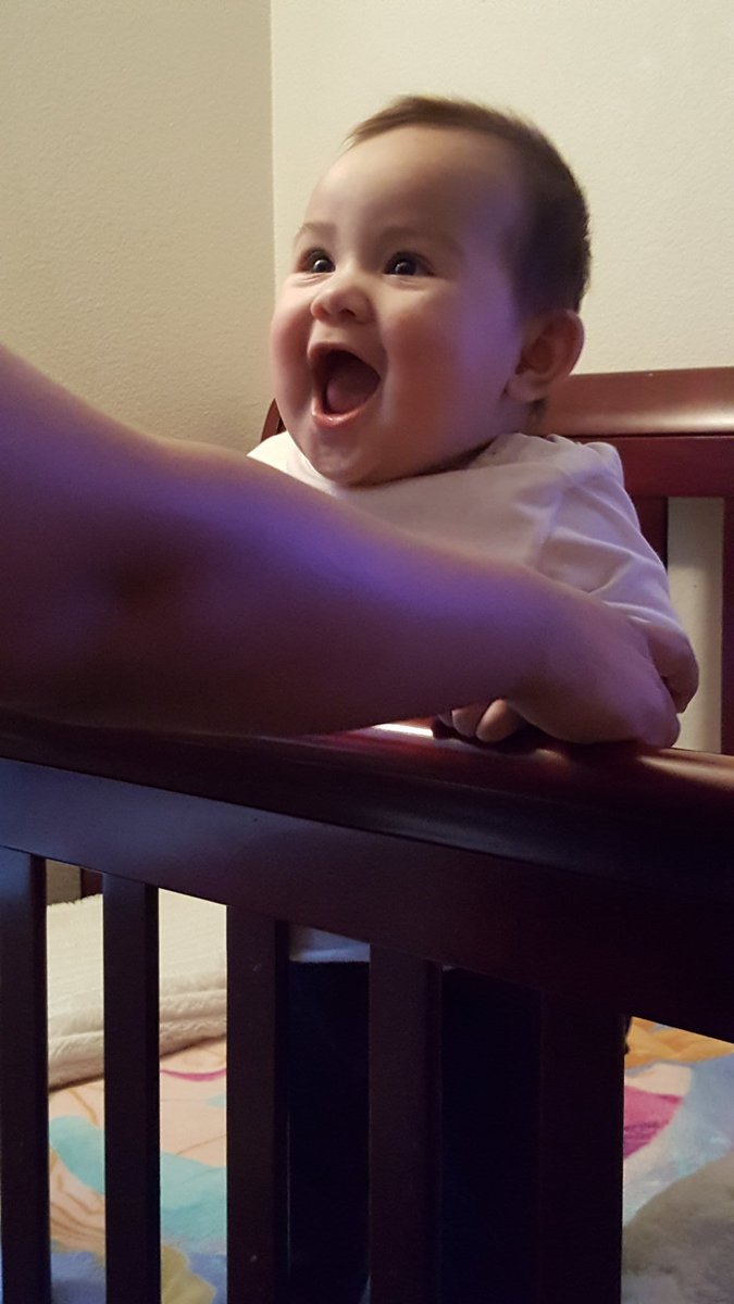 tofythebear's tweet image. Wonderful thanks giving with my family! My little one enjoyed her first thanksgiving! #futuregamer  #futurestreamer